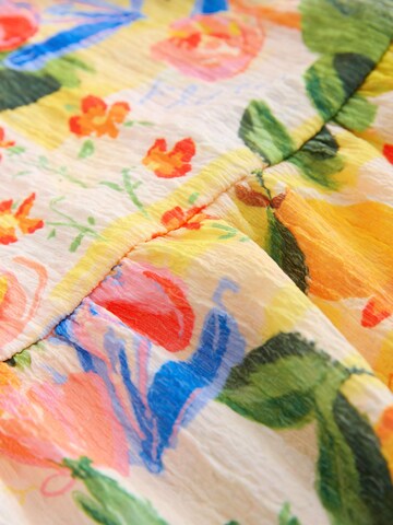 Next Dress in Mixed colours