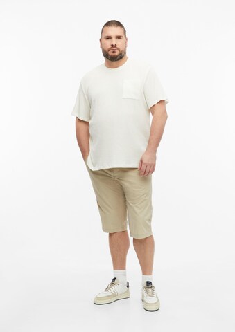 s.Oliver Regular Hose 'Phoenix' in Beige