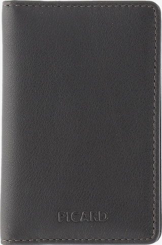 Picard Etui 'Brooklyn' in Grau: Vorderseite