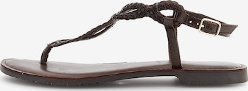 Sandalo di CAFè NOIR in marrone: frontale