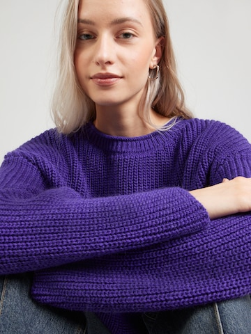 AMERICAN VINTAGE Trui 'CRASHWAY' in Lila