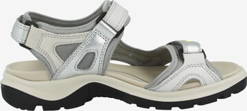 ECCO Hiking Sandals 'Offroad' in Grey