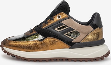 Baskets basses 'Noppi 36' Floris van Bommel en bronze : devant