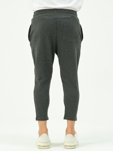 C&City Tapered Pants in Grey