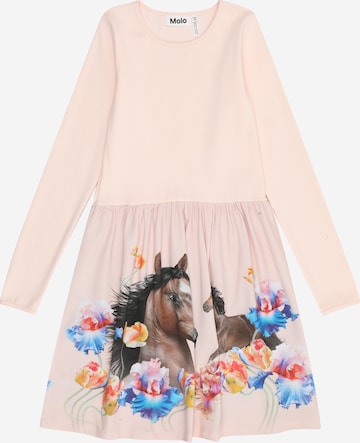 rozā Molo Kleita 'Credence': no priekšpuses