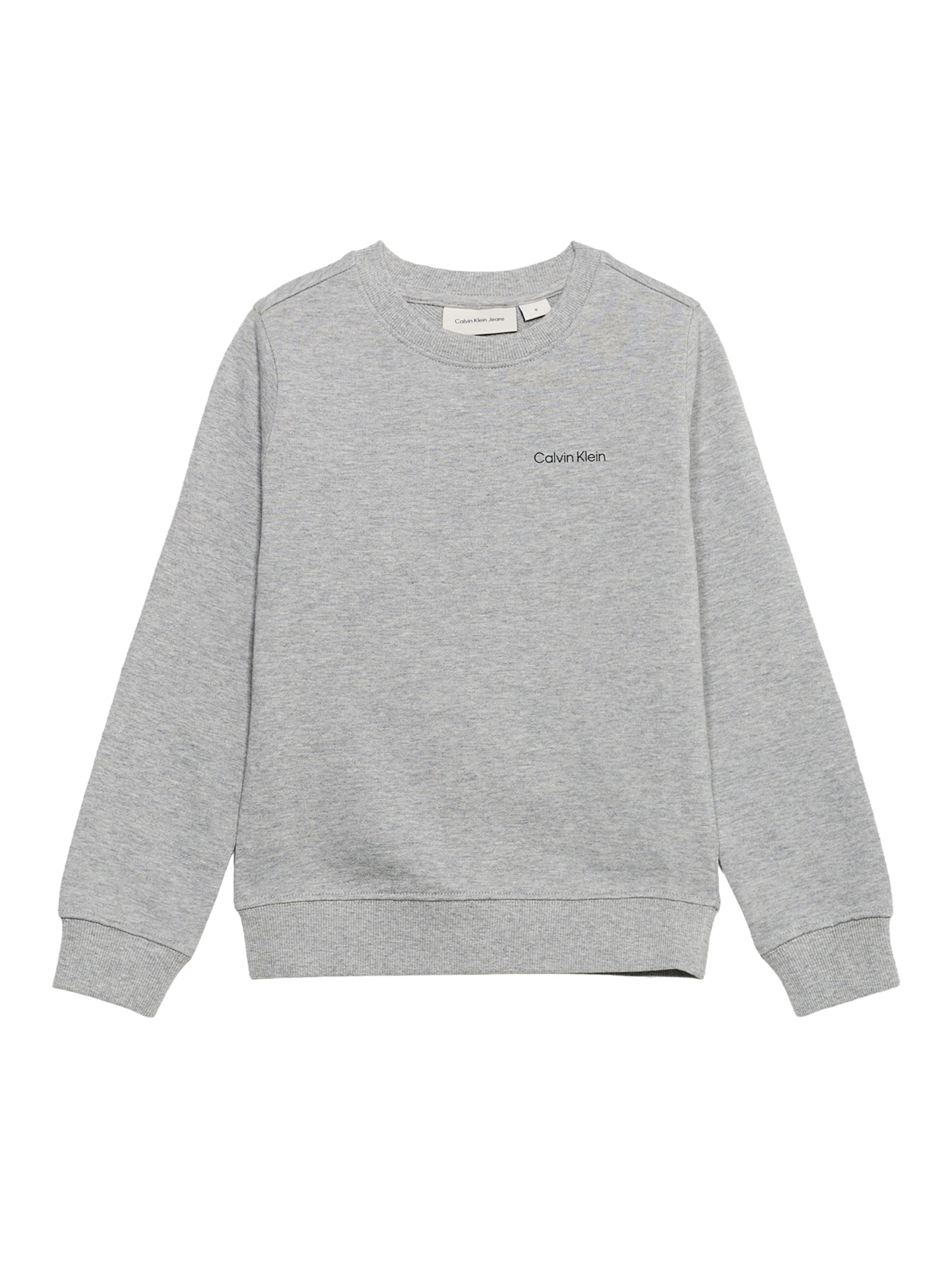Calvin Klein Jeans - Sudadera en gris: frente