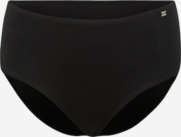 Tommy Hilfiger Underwear Bikini Bottoms in Black: front