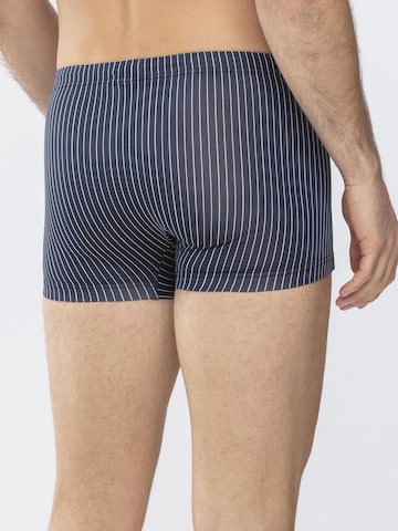 Mey Swim Trunks in Blue