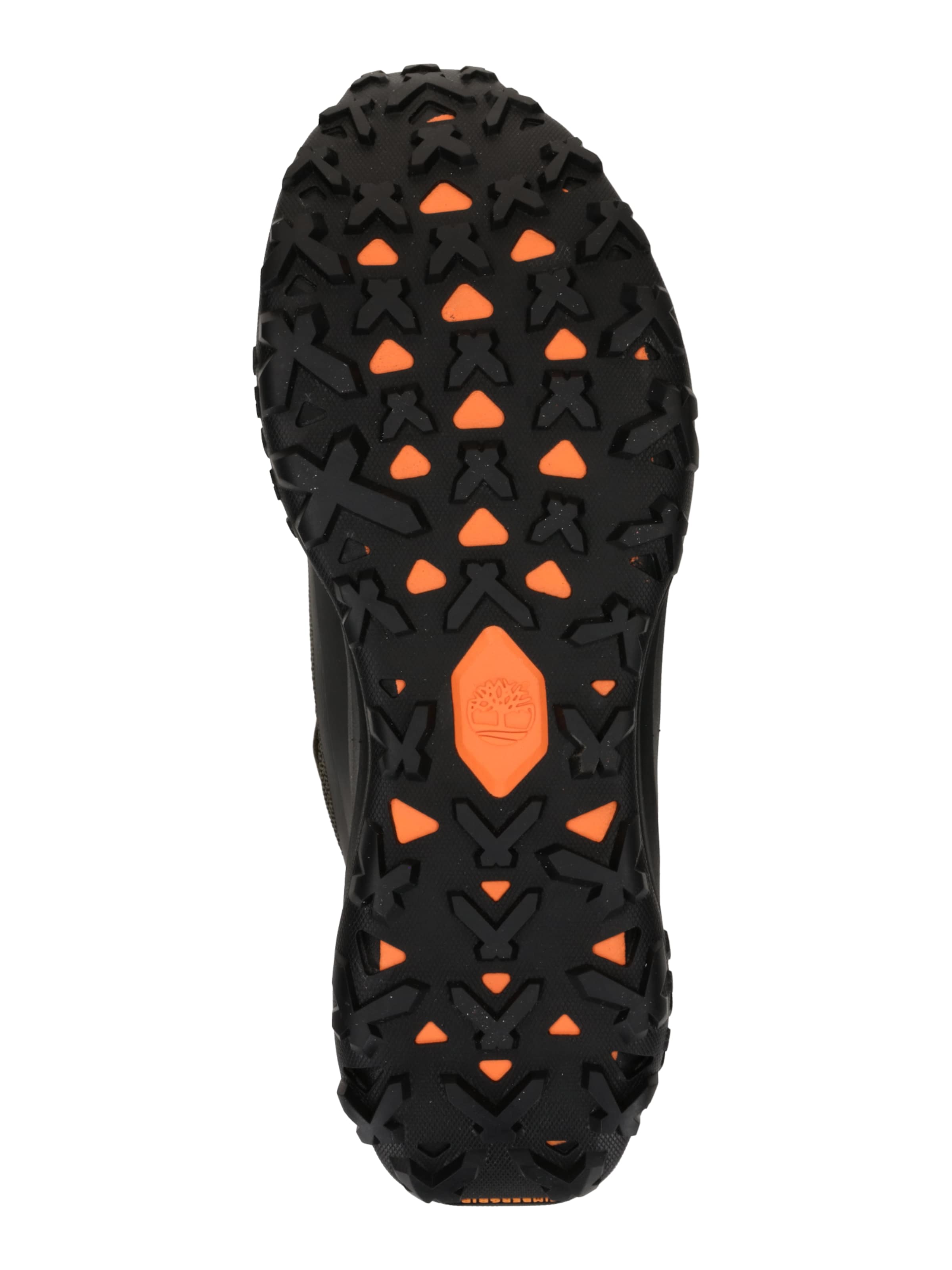 TIMBERLAND Nizke superge | zelena barva