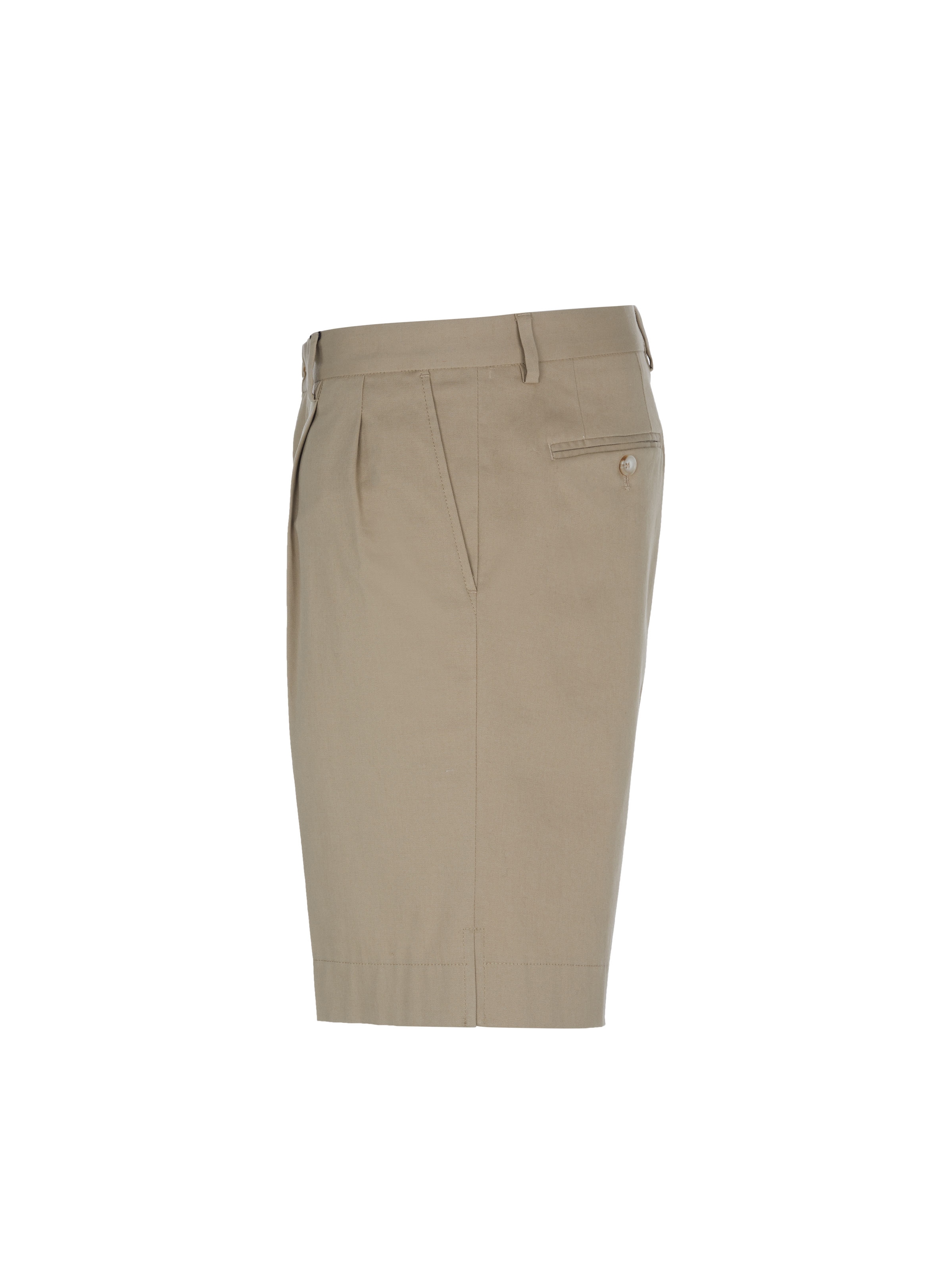 DOLCE & GABBANA Regular Pants in Brown