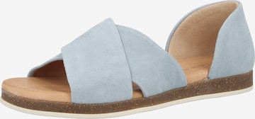 Apple of Eden Ballerina 'SS26-CELINE 78' värissä sininen: etupuoli