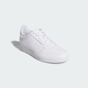 ADIDAS SPORTSWEAR Platform trainers 'Hoops 4.0' in White