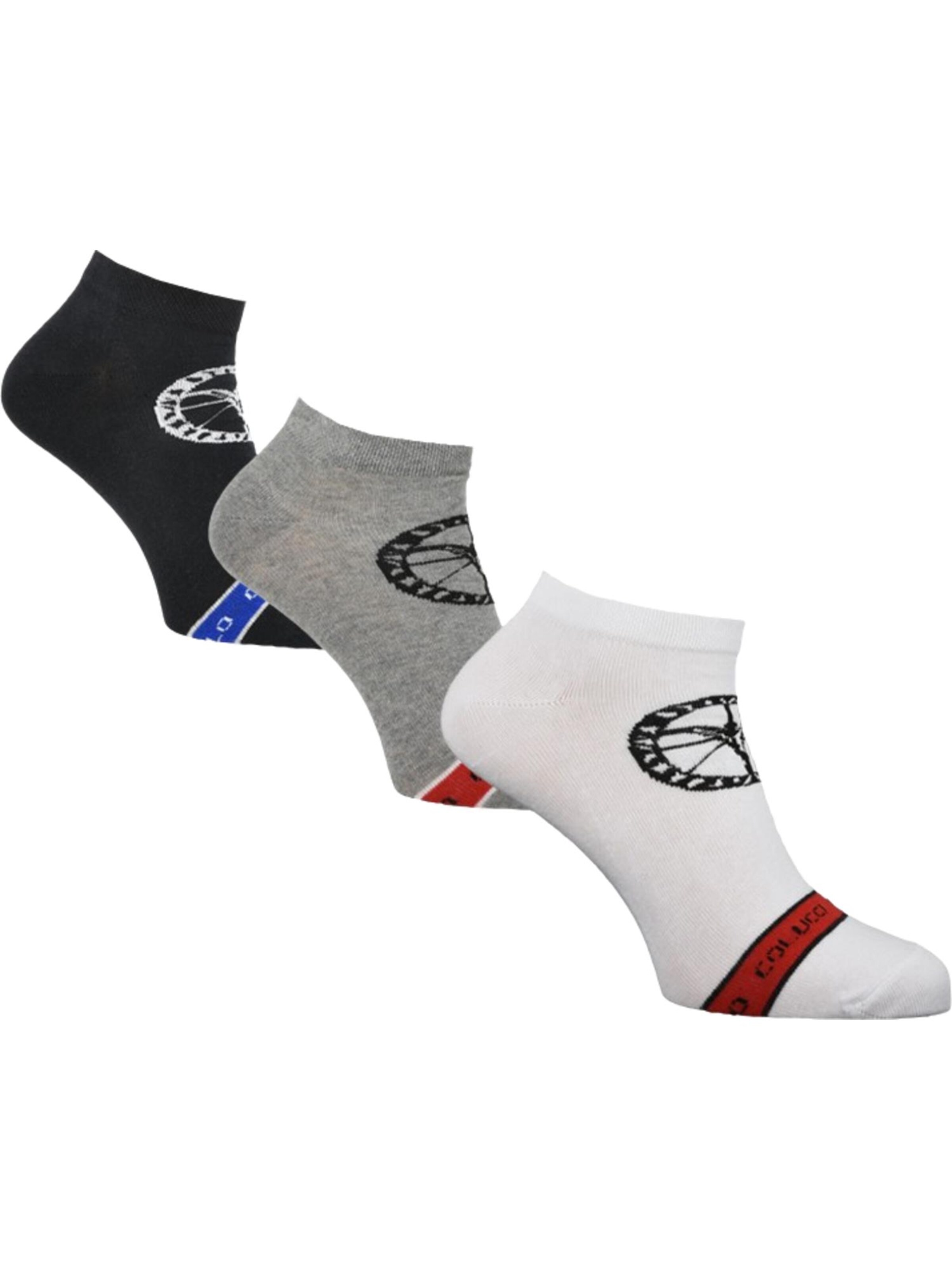 Carlo Colucci Socken 'Centaro' in Grau: Vorderseite