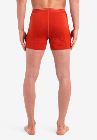 ICEBREAKER Athletic Underwear 'Anatomica' in Red