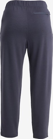 Effilé Pantalon 'Crush II' ICEBREAKER en gris