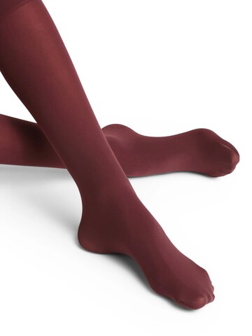 FALKE Overknee Strümpfe 'Pure Matt'‌‌‌‌‌‌‌‌‌ in Rot