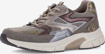 Baskets basses GABOR en gris : devant