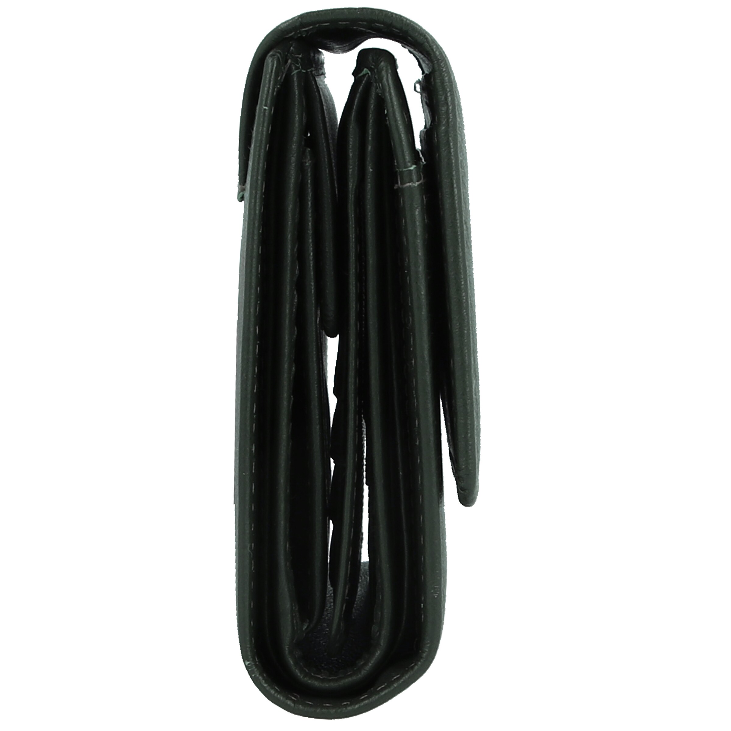 Esquire Wallet 'Viktoria' in Green