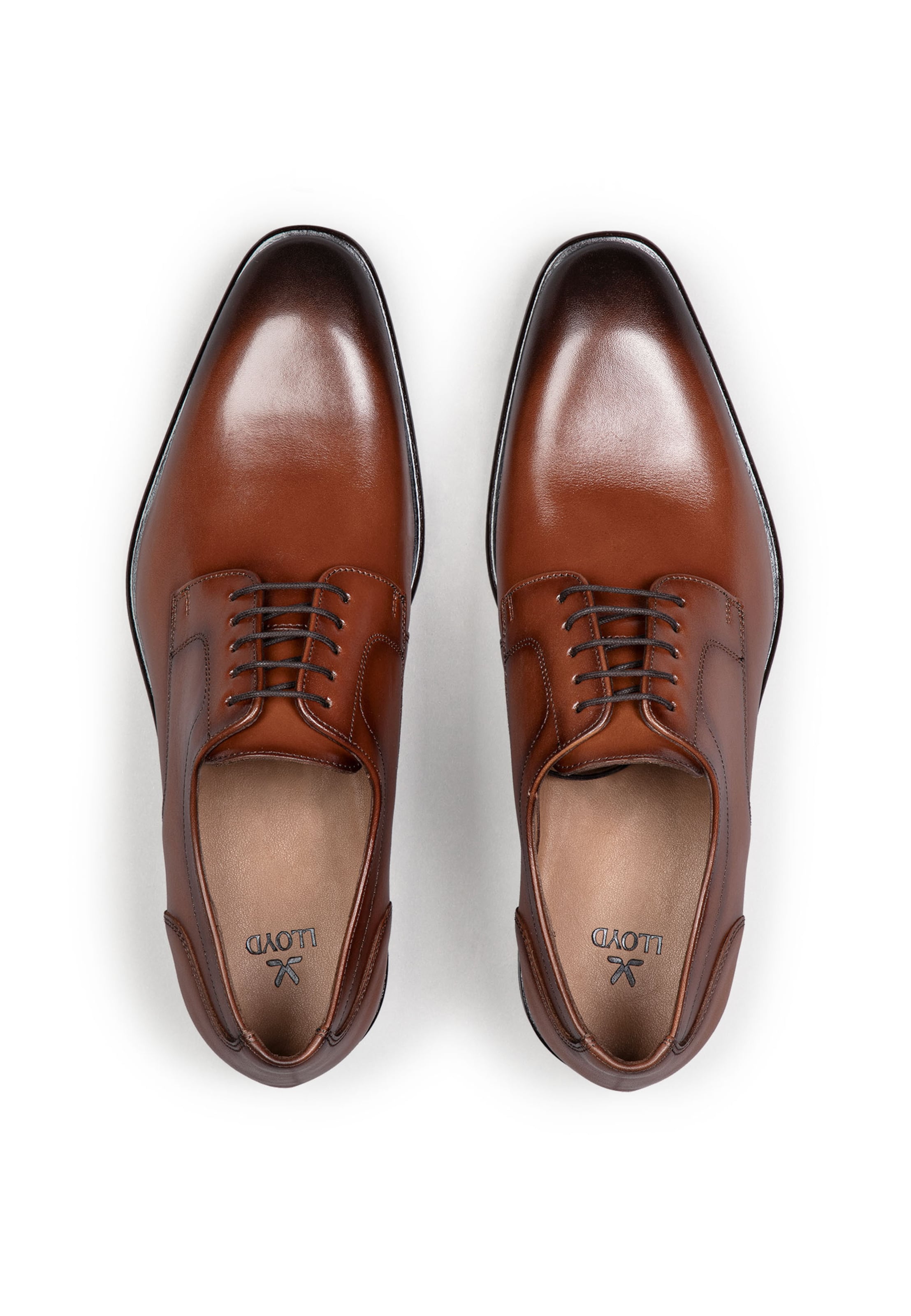 LLOYD Lace-Up Shoes in Brown