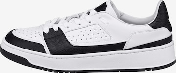 LLOYD Schuhe EVER-LOW in Schwarz: Vorderseite