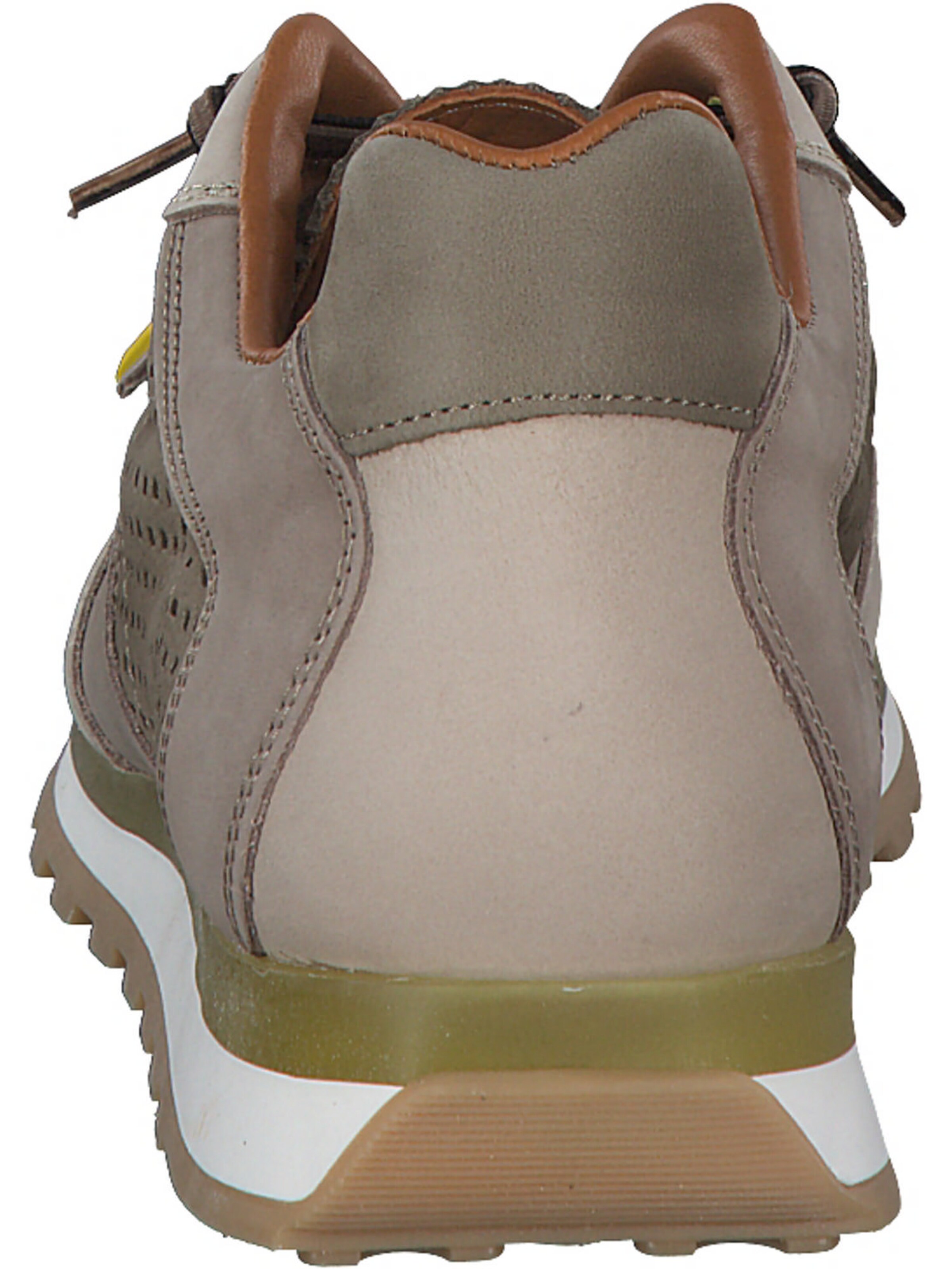 Cetti Sneaker 'C848 EXP M' in Beige