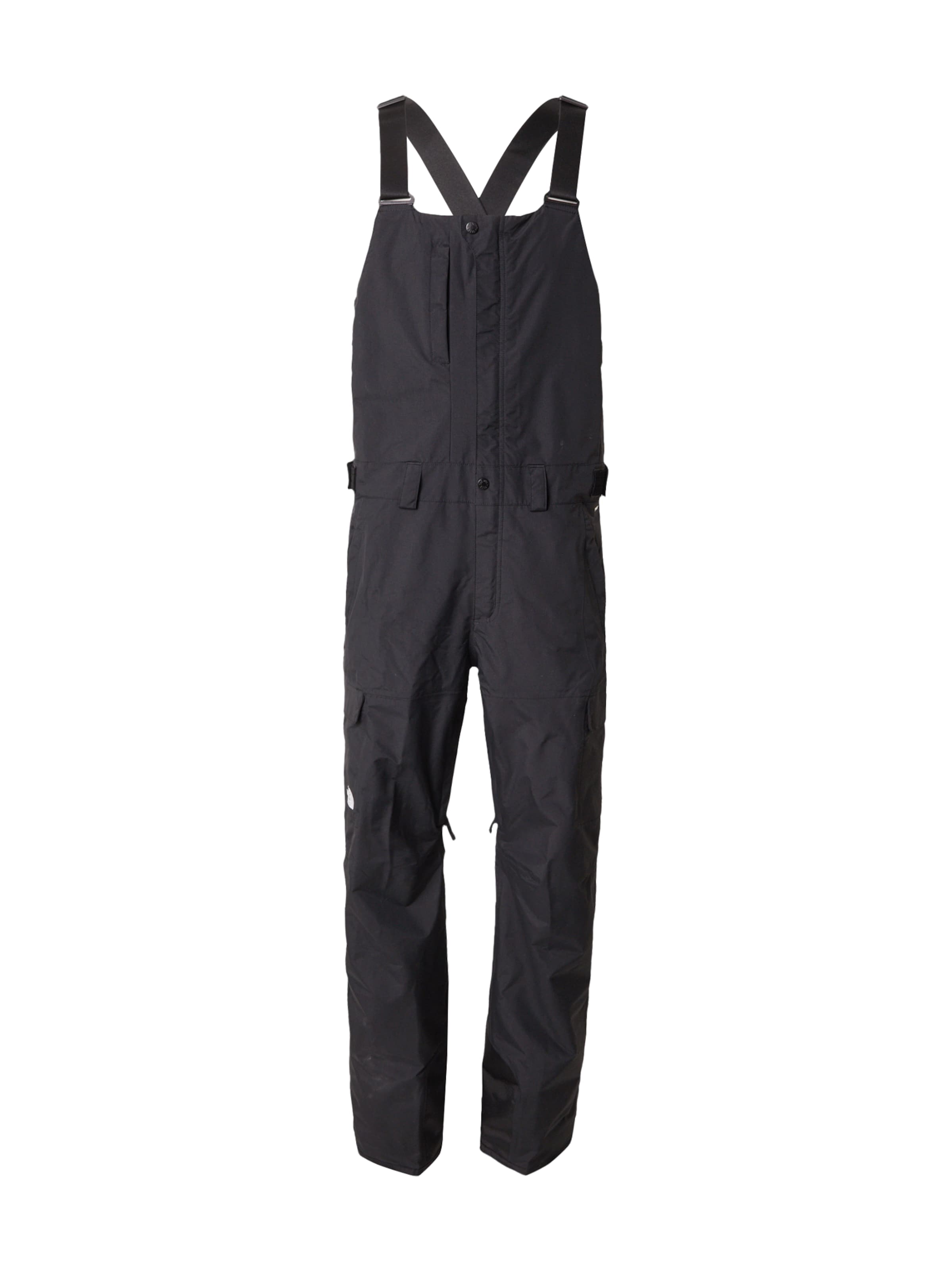 THE NORTH FACE Normální Sportovní kalhoty 'FREEDOM' – černá: přední strana