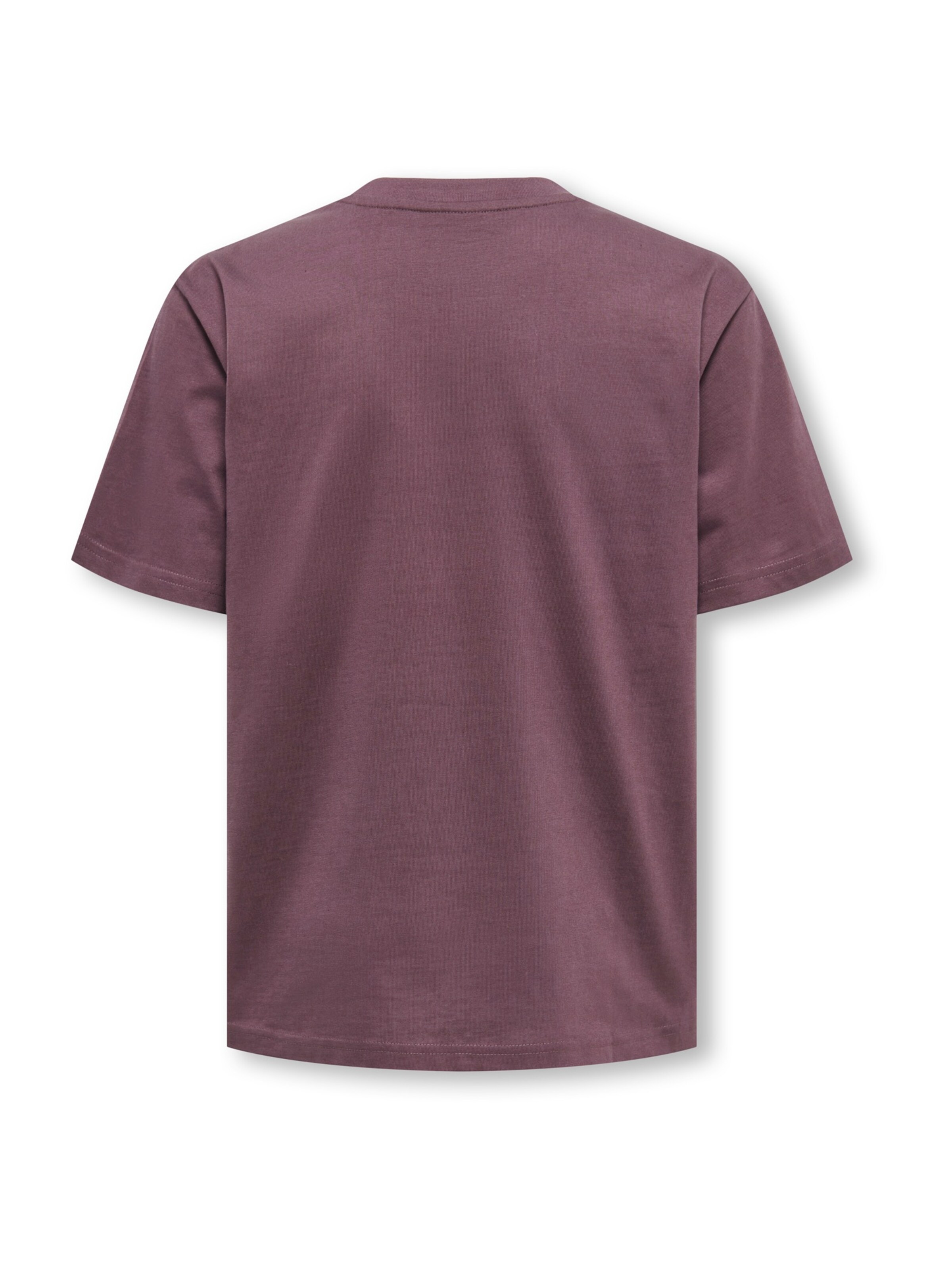 brūns Only & Sons Junior T-Krekls 'OSJFred'