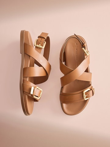 Sandales à lanières B by Ted Baker en marron