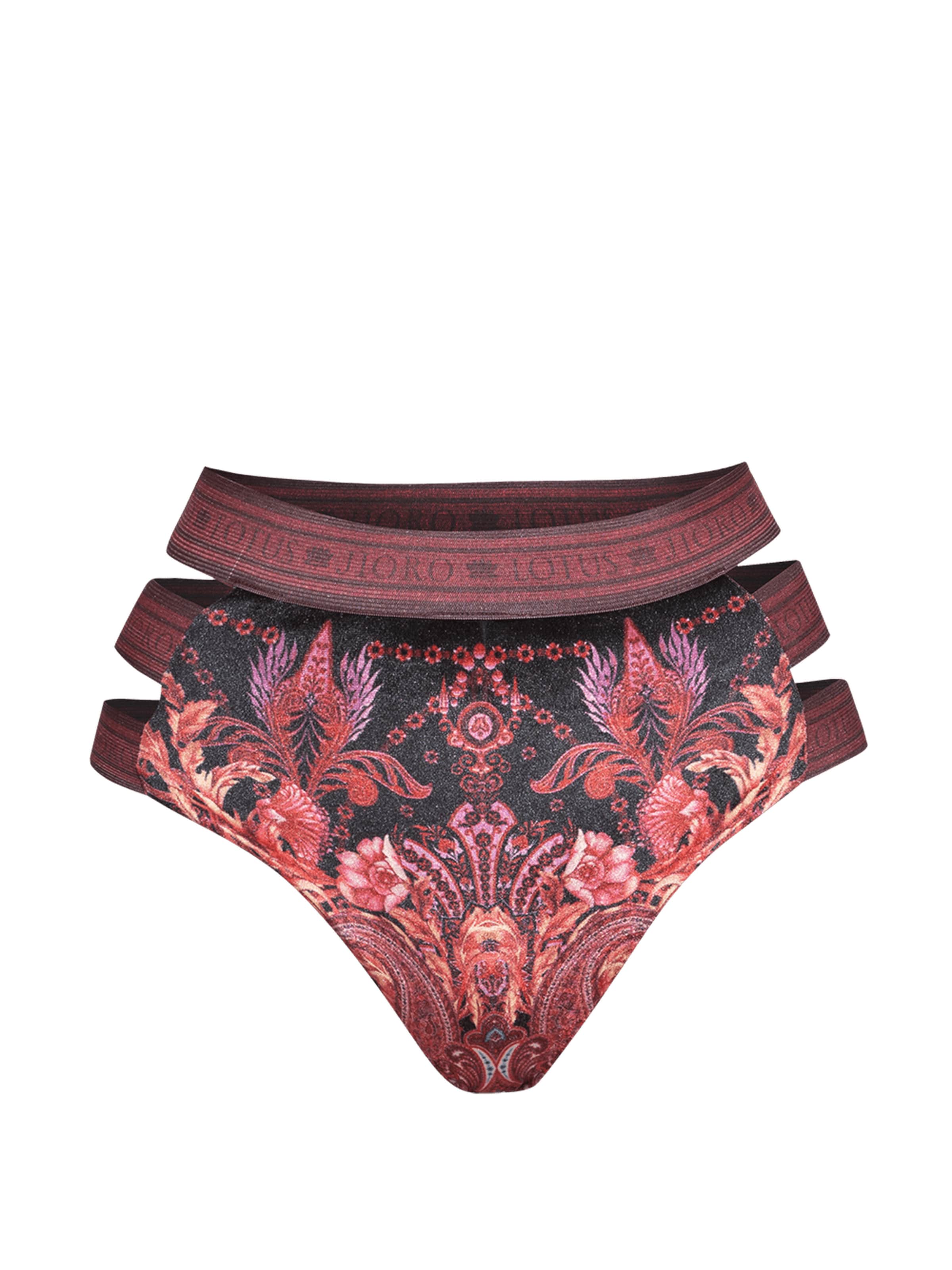 JIORO Bikini bottom 'PAISLEY DARK' in Mixed colours: front
