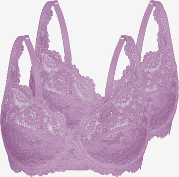 sassa BH in Lila: voorkant