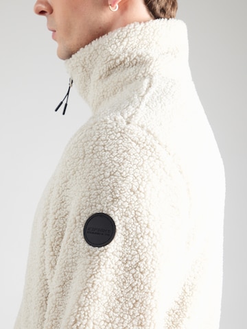 ICEPEAK Athletic fleece jacket 'PUEBLO' in Beige