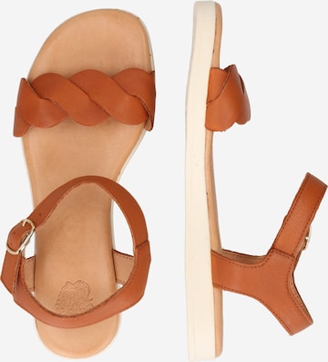 Apple of Eden Sandals 'Inez 10' in Brown