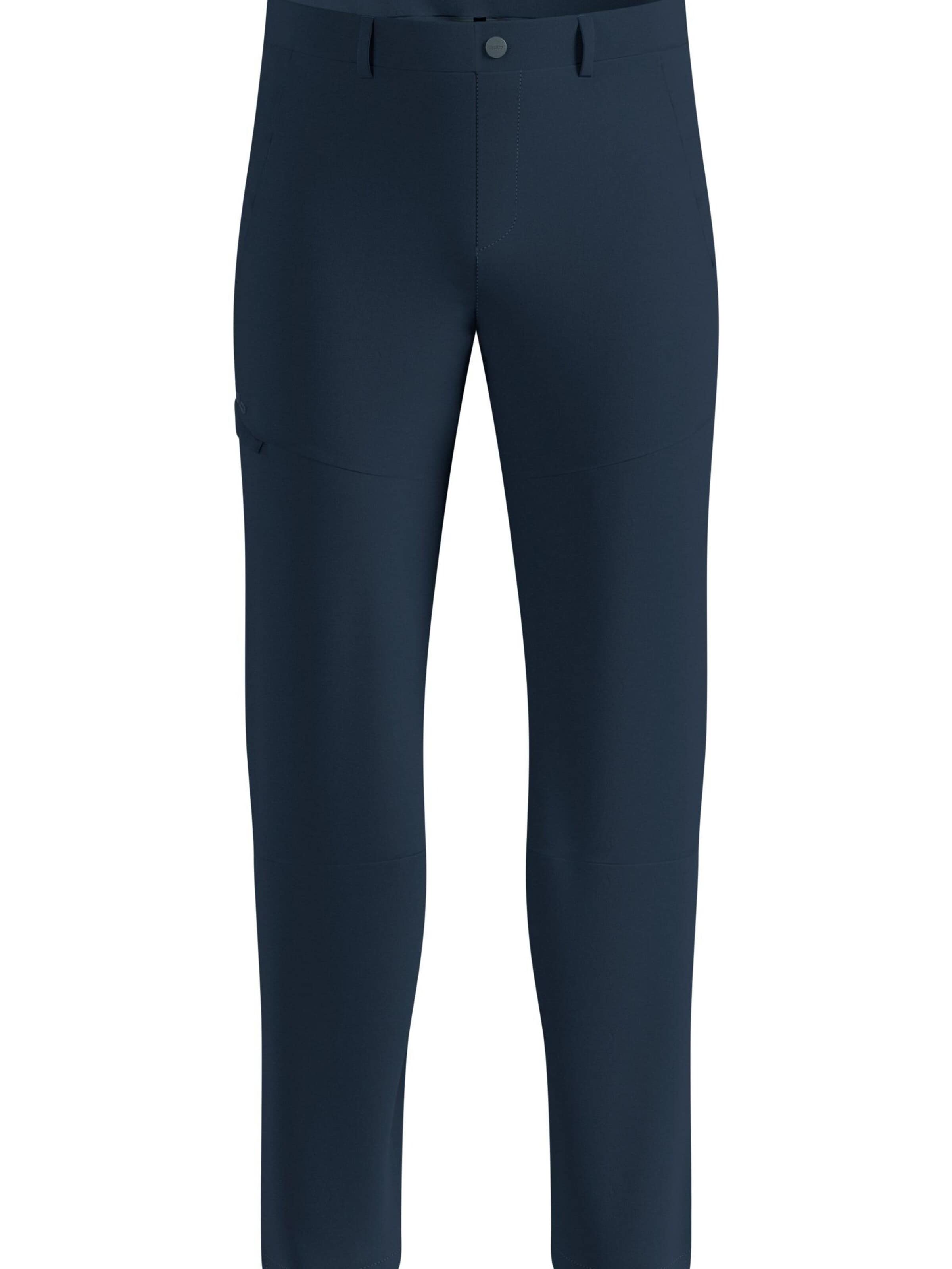 ODLO Outdoor trousers 'ASCENT' in Blue: front
