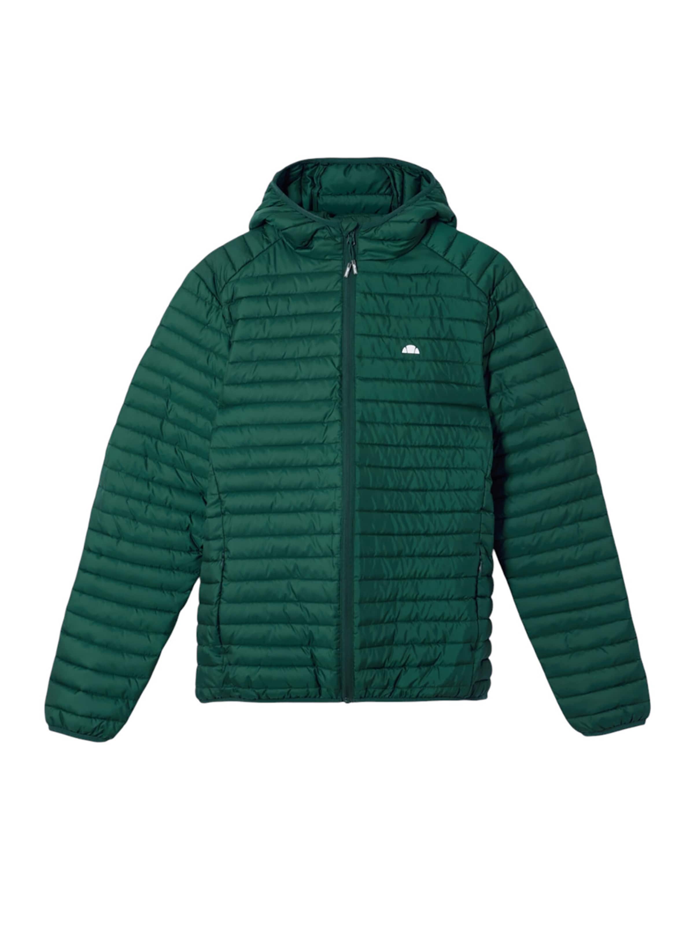 ELLESSE Between-Season Jacket 'Pallochi' in Green: front