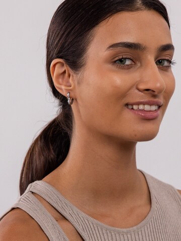 PURELEI Earrings in Silver: front