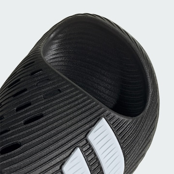 Claquettes / Tongs 'Purechill' ADIDAS SPORTSWEAR en noir