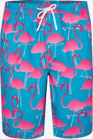 Lousy Livin Board Shorts 'Flamingos' in Blue: front
