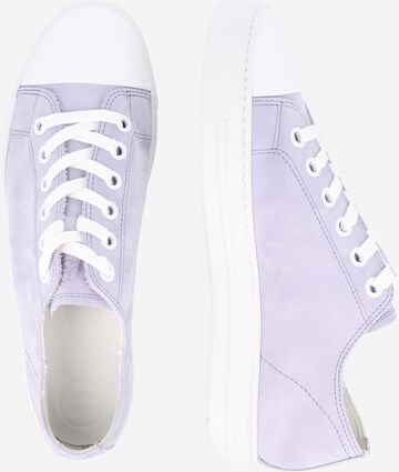 Paul Green Sneakers in Purple