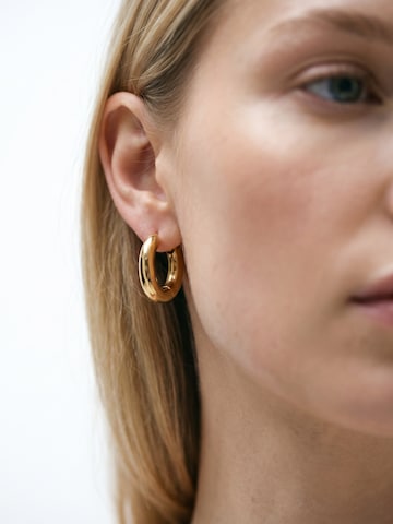 lePelou Earrings 'FLOW' in Gold