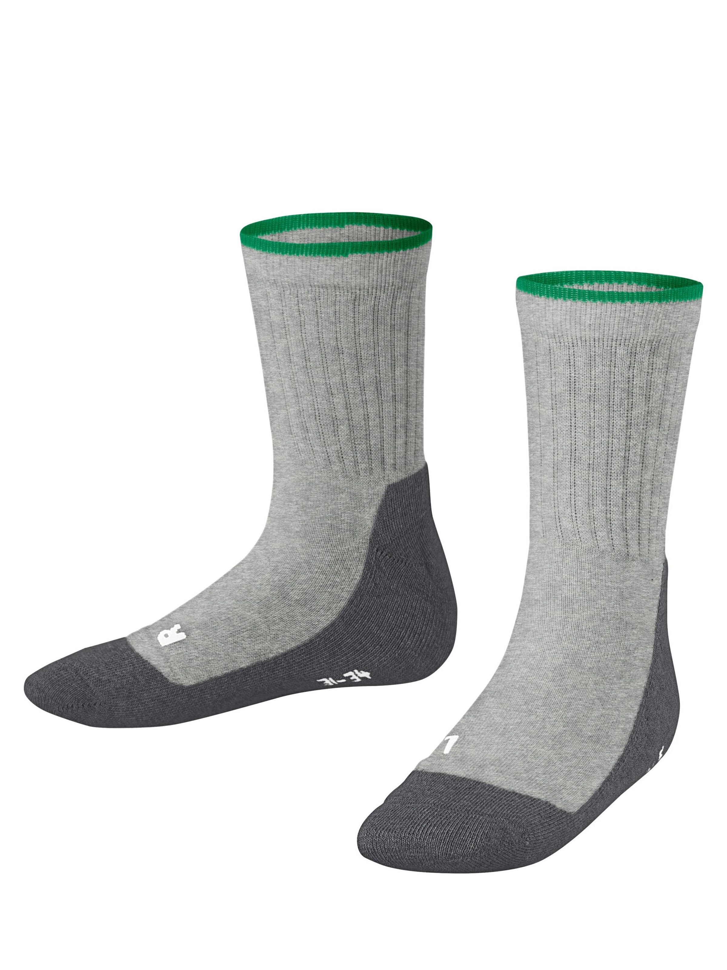 Chaussettes FALKE en gris : devant