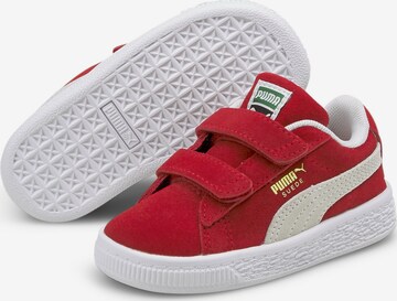 PUMA Sneaker in Rot