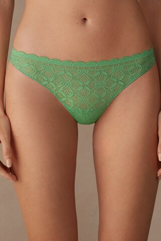 INTIMISSIMI Slip in Grün: Vorderseite