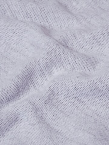 MAMMUT Funktionsfleecejacke ‘Arctic IV’ in Grau