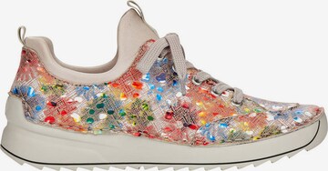 Rieker Sneakers in Mixed colors