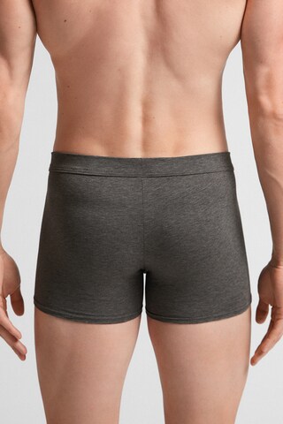 IUMAN Intimissimi Pants in Grau