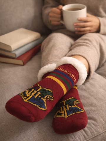 Harry Potter Socks 'Hogwarts' in Red