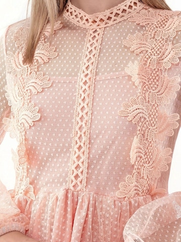 MSN Collection Cocktailjurk in Roze