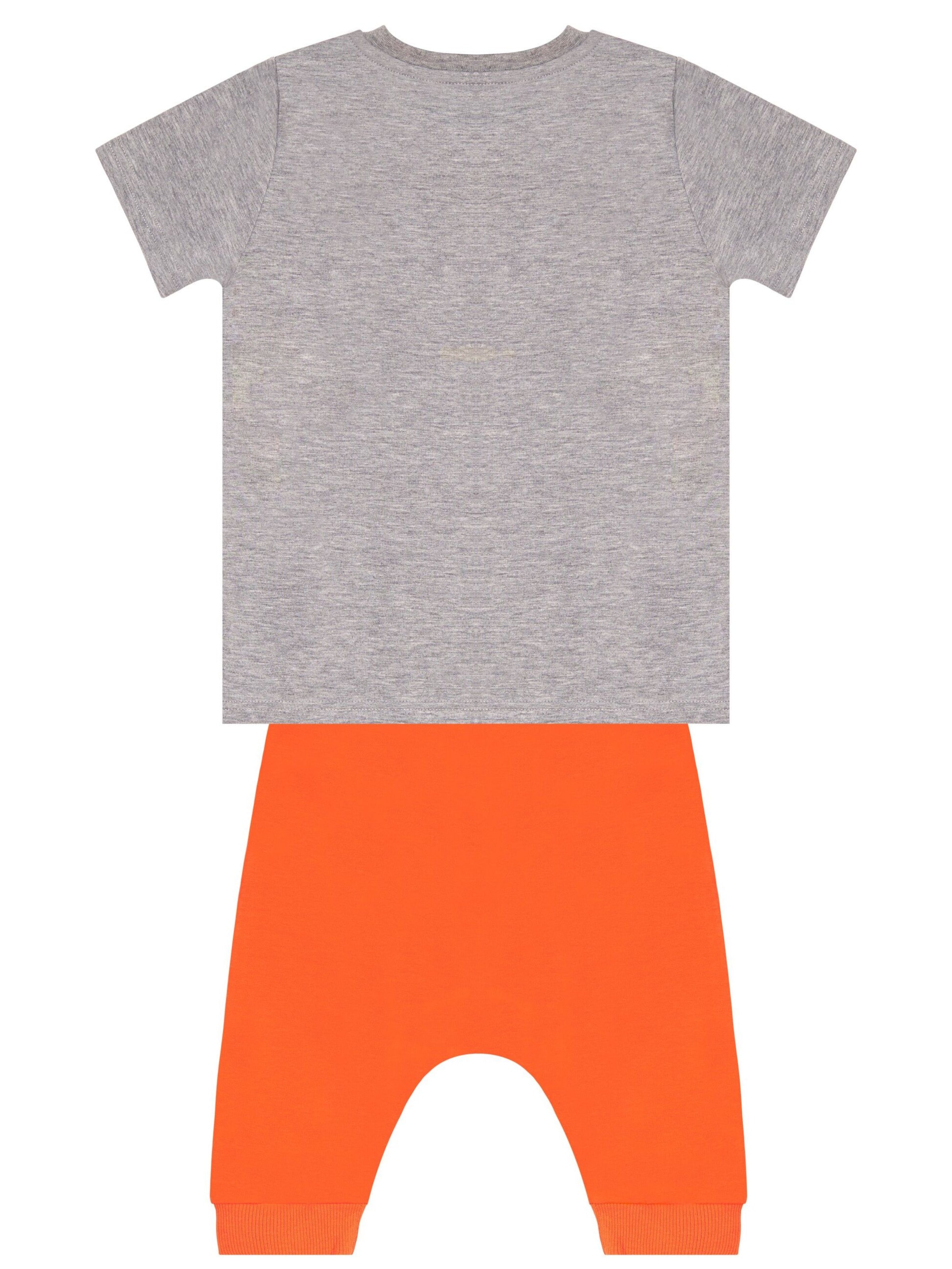 Set 'Orange Tiger' Denokids en gris