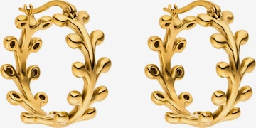 Boucles d'oreilles 'Tiny Leaf' PURELEI en or : devant