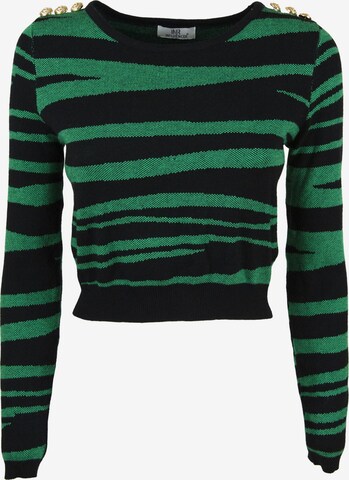 Influencer Пуловер 'Animalier' в зелено: отпред